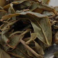 台灣茶文化、工藝與製程