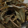 台灣茶文化、工藝與製程