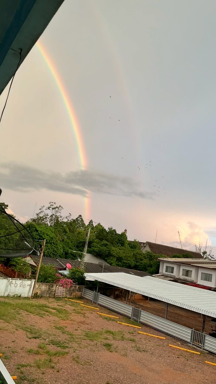 กลุ่ม99คืนในป่าคะ