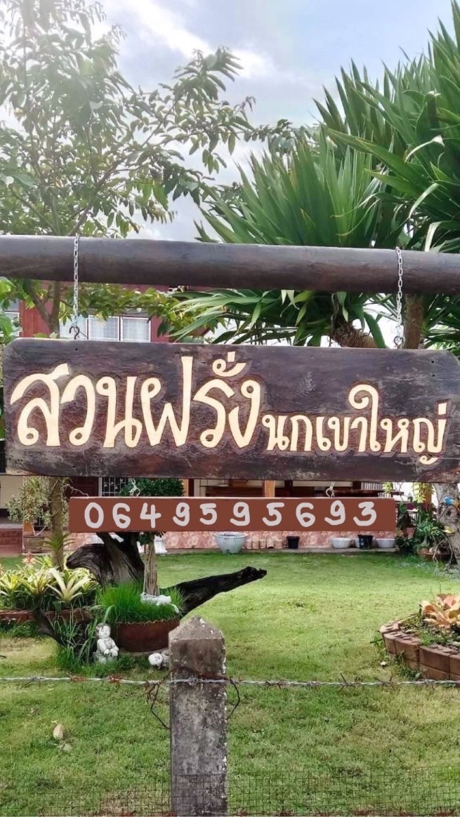 ลานกางเต็นท์ “สวนฝรั่ง นก(เขาใหญ่)”