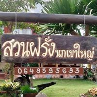 ลานกางเต็นท์ “สวนฝรั่ง นก(เขาใหญ่)”