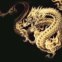 瀧珈水族  魟魚魟魚買賣競標