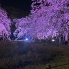 避難所(小学生＆中学生＆高校生＆大学生＆社会人の雑談)