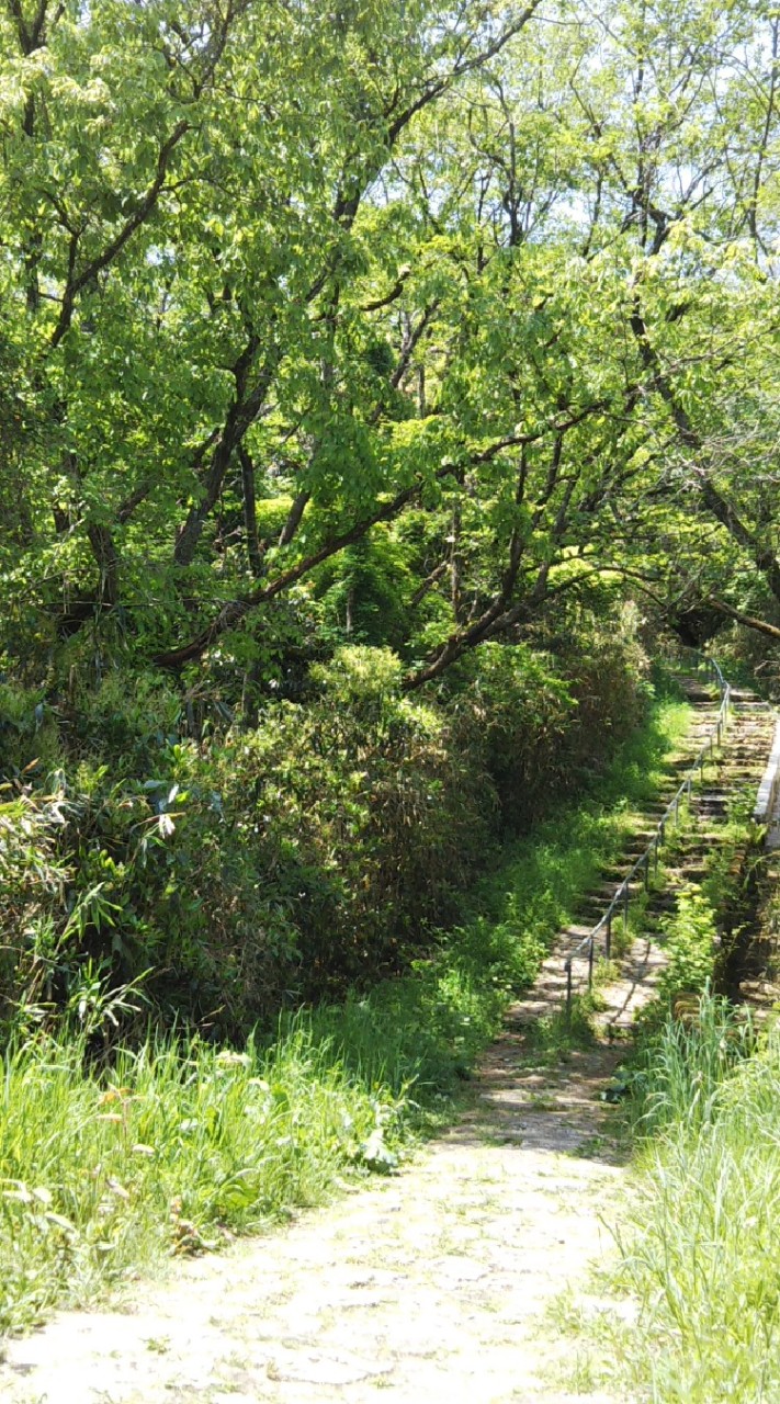 【40〜59才】生駒山ゆる登山部メンバー募集😀