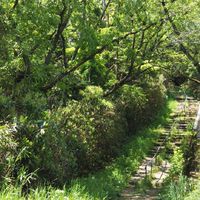 【40〜59才】生駒山ゆる登山部メンバー募集😀