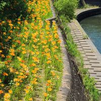 🍀さんぽ部 のこのこ☺️🍀　浜松市のお散歩サークル