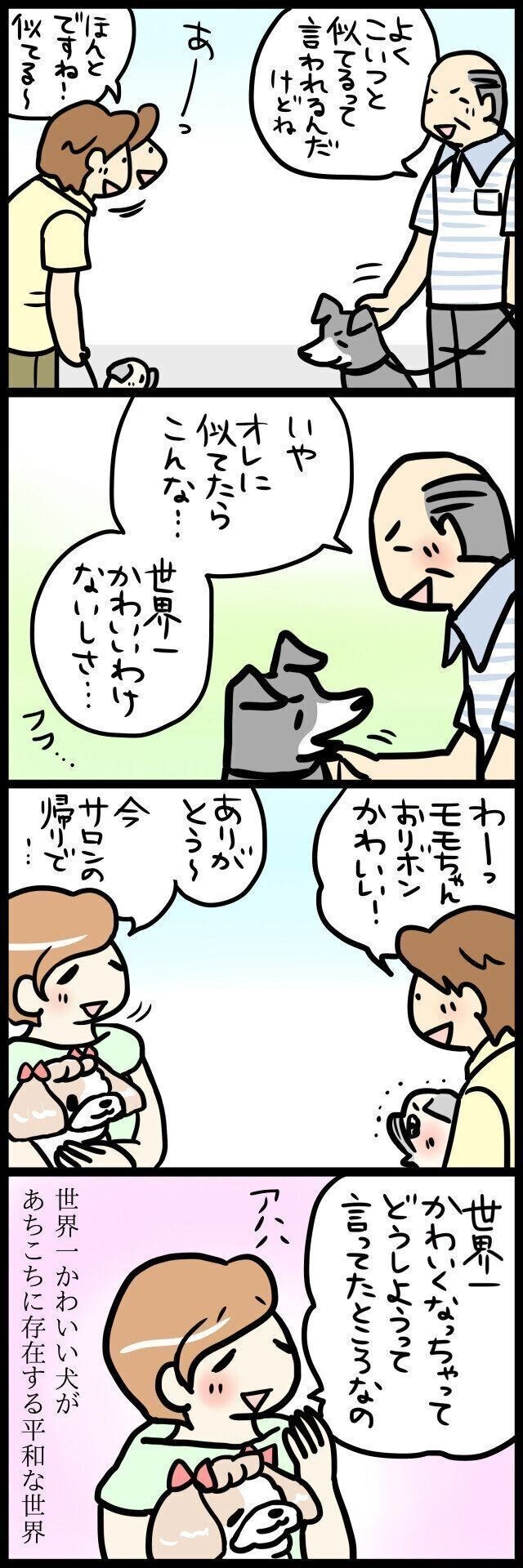 うちもです 世界一かわいい犬 があちこちに存在