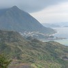 動物方城市