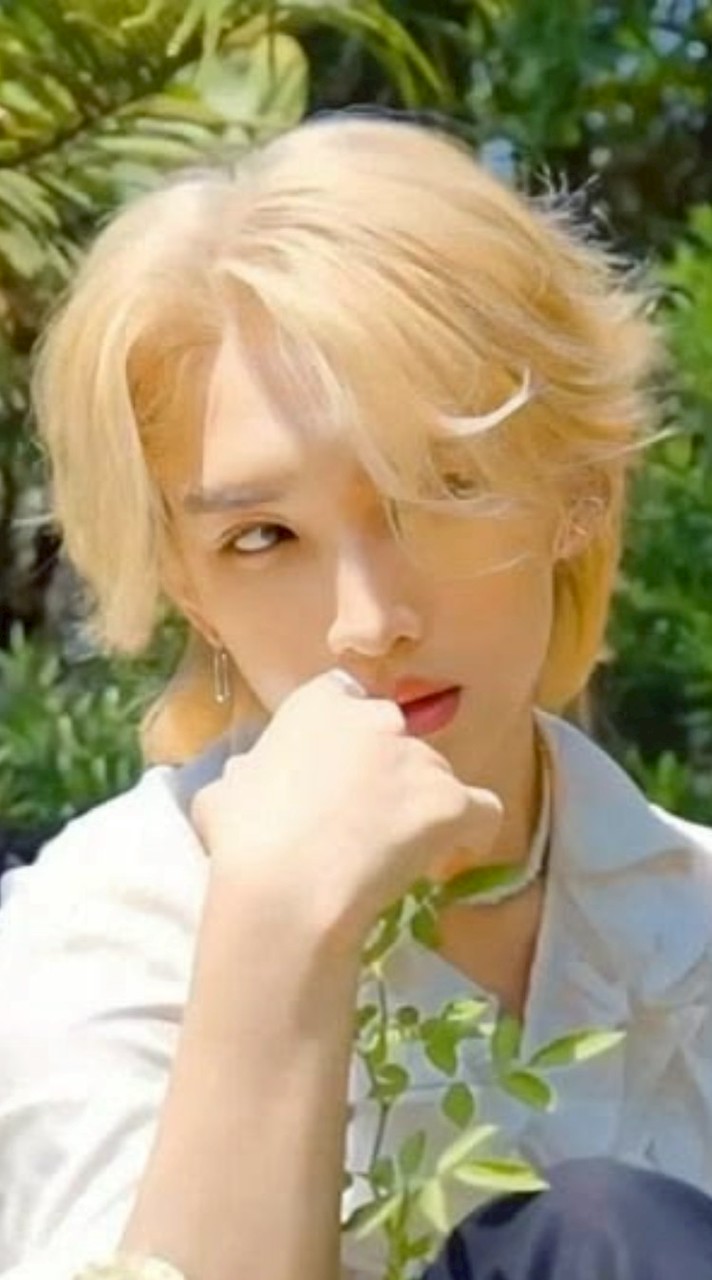 ซัพอร์ตบอสโนอึล