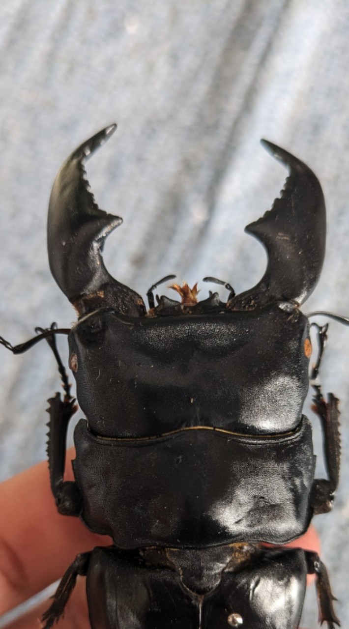 学生の生物好き集まれ〜