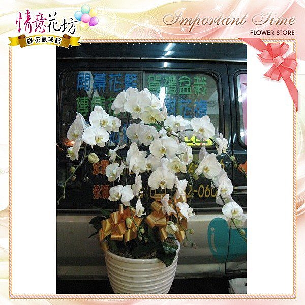 新北市永和人氣花店情意花坊超級商城~追思弔慰花禮喪禮告別式悼念敬輓用蘭花盆栽/高架花籃