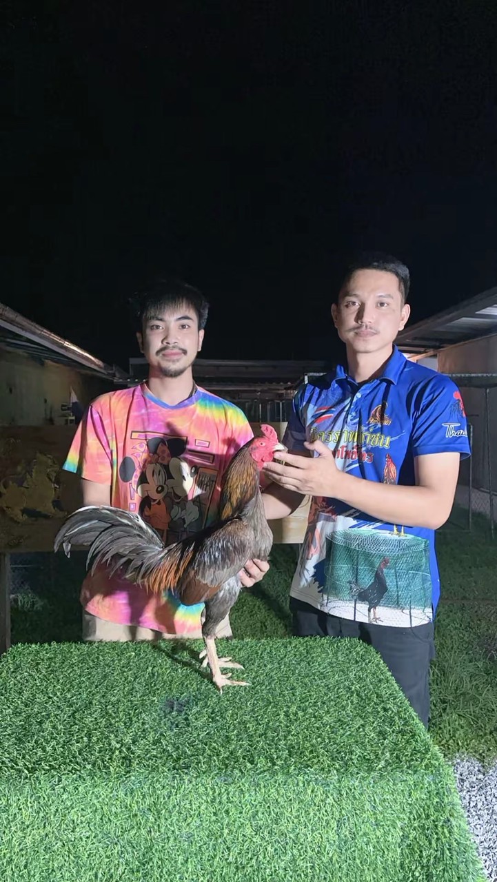 สะแก โพธิ์ไทร กลุ่ม1