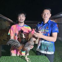สะแก โพธิ์ไทร กลุ่ม1