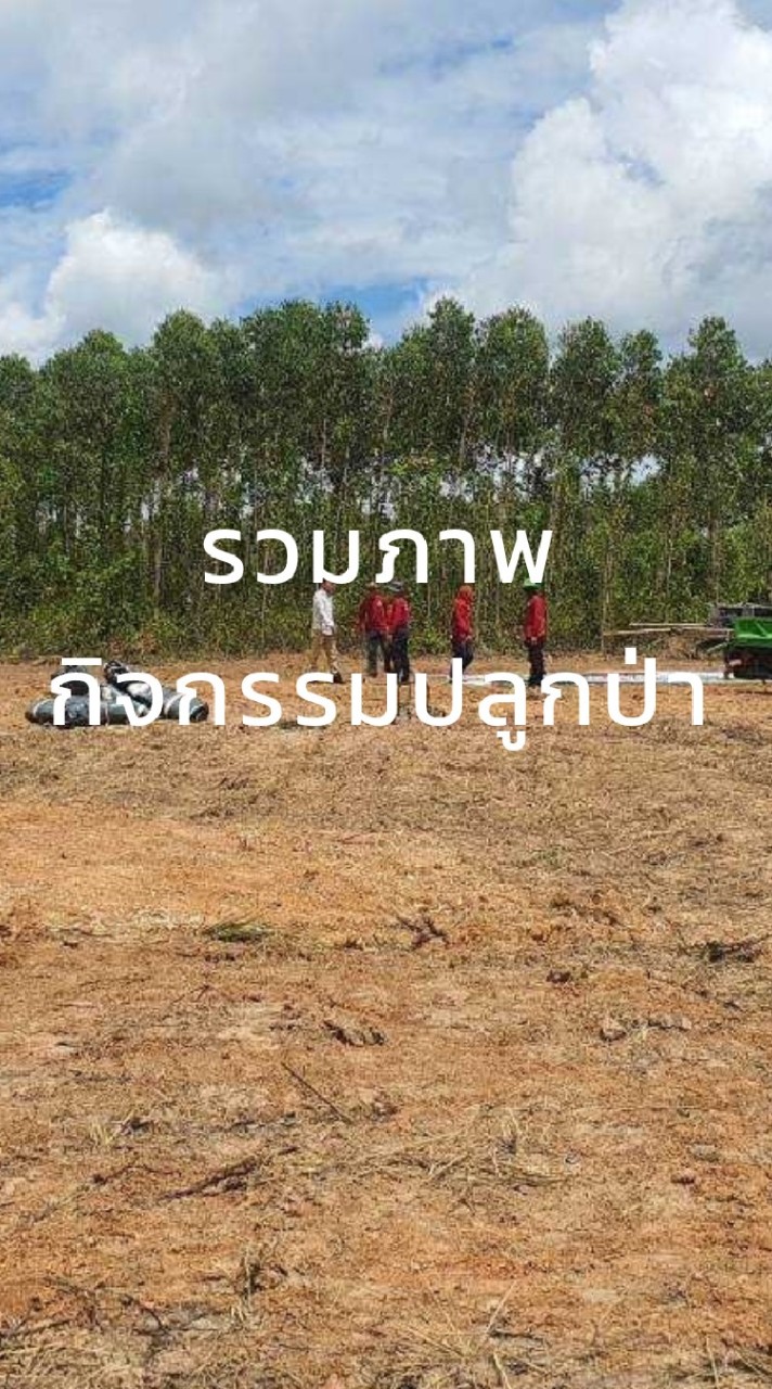 รวมรูปภาพกิจกรรมปลูกป่าปีที่10/2565