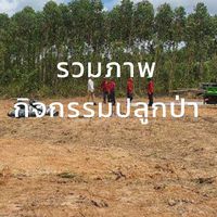 รวมรูปภาพกิจกรรมปลูกป่าปีที่10/2565