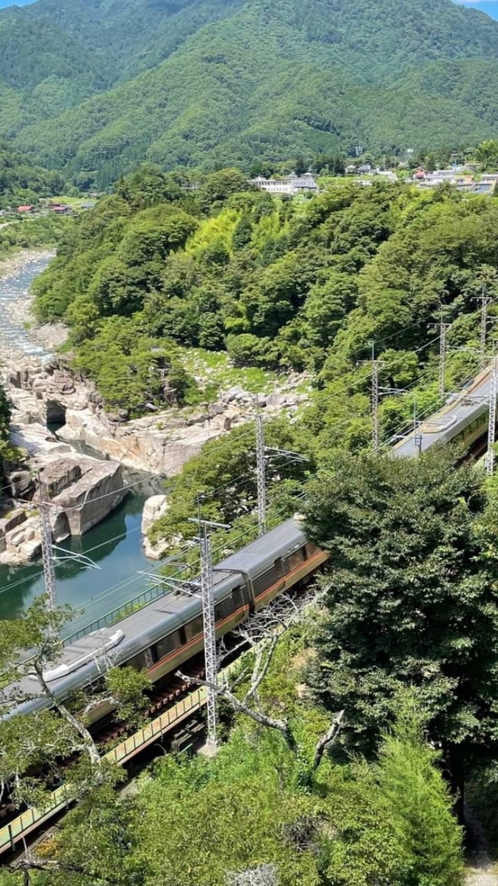 南海の鉄道好き集まれ‼️