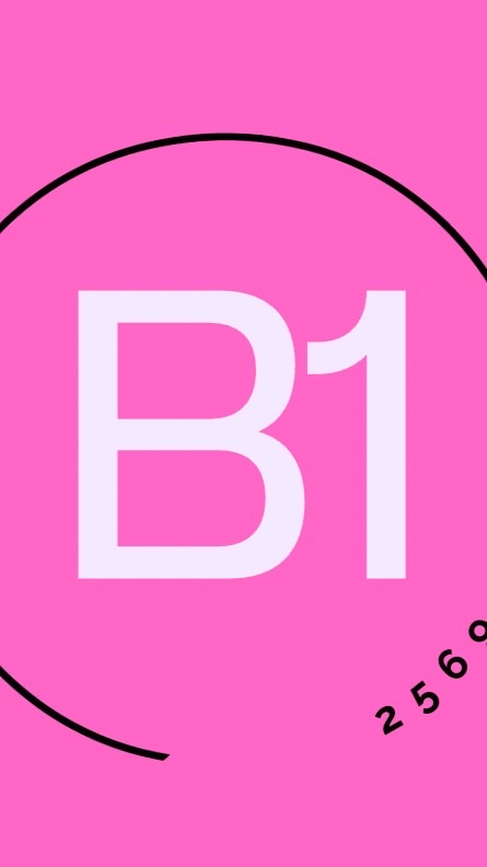 B1-2569