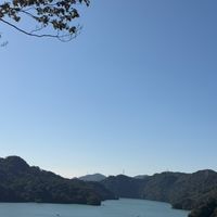 🌻35+單身/單親/離婚🌻的大小事
