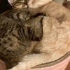 ゆっくりのゲーム実況オプチャ！
