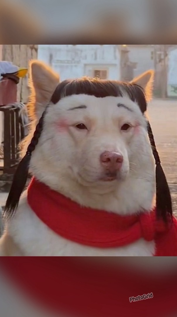 +20帥哥美女娛樂之群