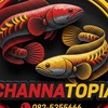 ChannaTopia Group