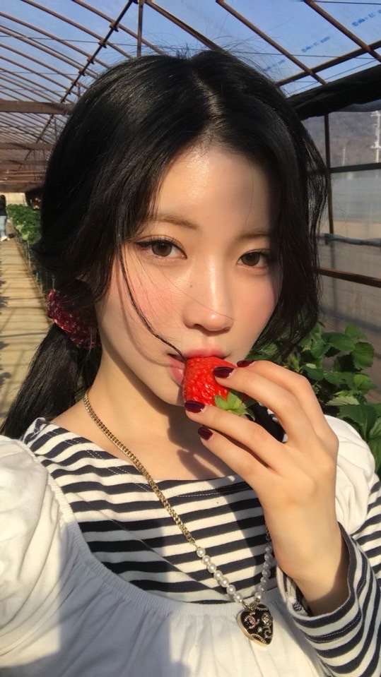拆盤用！