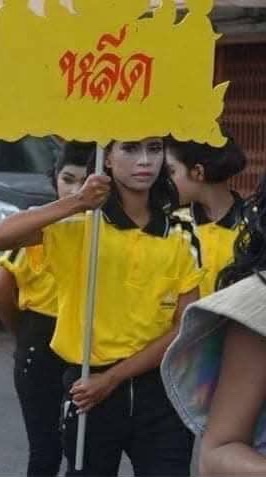 ขบวนวัฒนาณุรักษ์