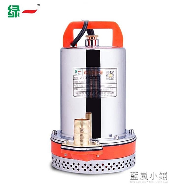 綠一 直流潛水泵12V24V48V電動電瓶車抽水泵家用高揚程抽水機農用