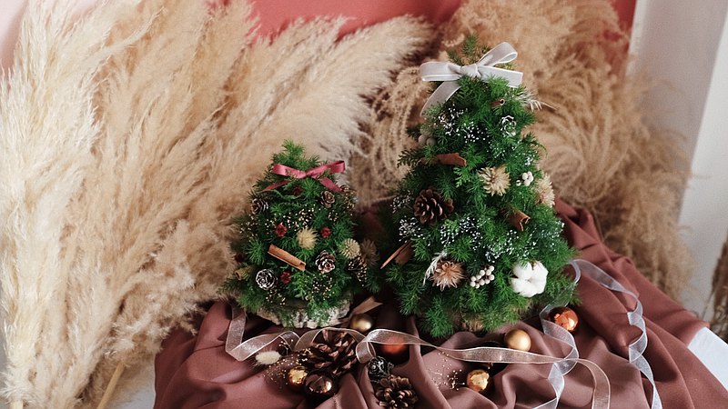 做一棵自己的聖誕樹吧。使用混合松柏從無到有的插出一棵樹，再加上自己喜歡的裝飾品。回到兒時期待樹下放了什麼禮物的純真，讓日子再一次繽紛起來。