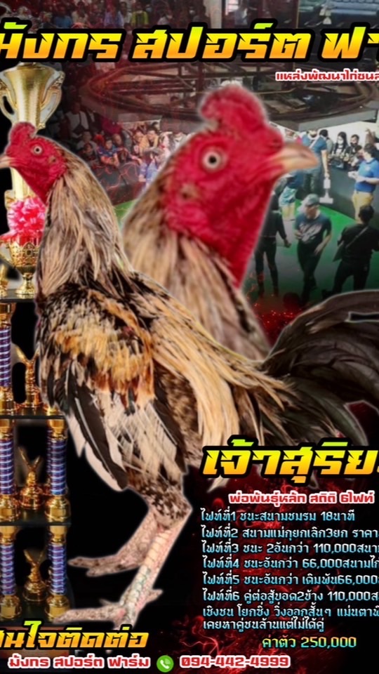มังกร สปอร์ต ฟาร์ม