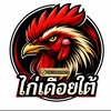ไก่เดือยใต้ (ตัวเด็ด)