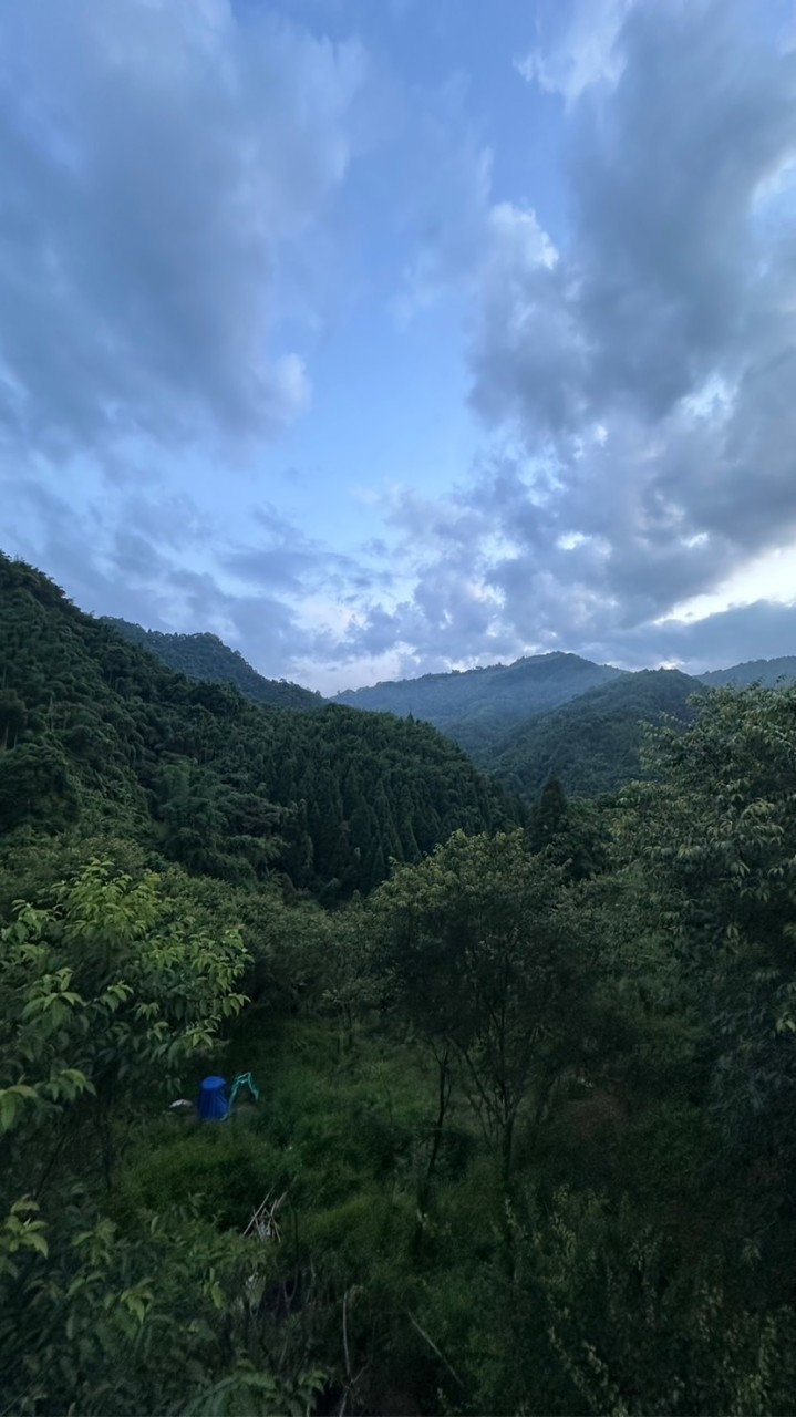 大地媽媽祝福包(豪好療癒工作室)