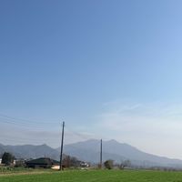バウンティオプチャ