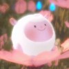 SYN戰隊·蛋仔