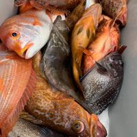 生産者から直接買うプラットフォーム