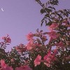 全界隈夢女部屋⟡.· 枠無制限