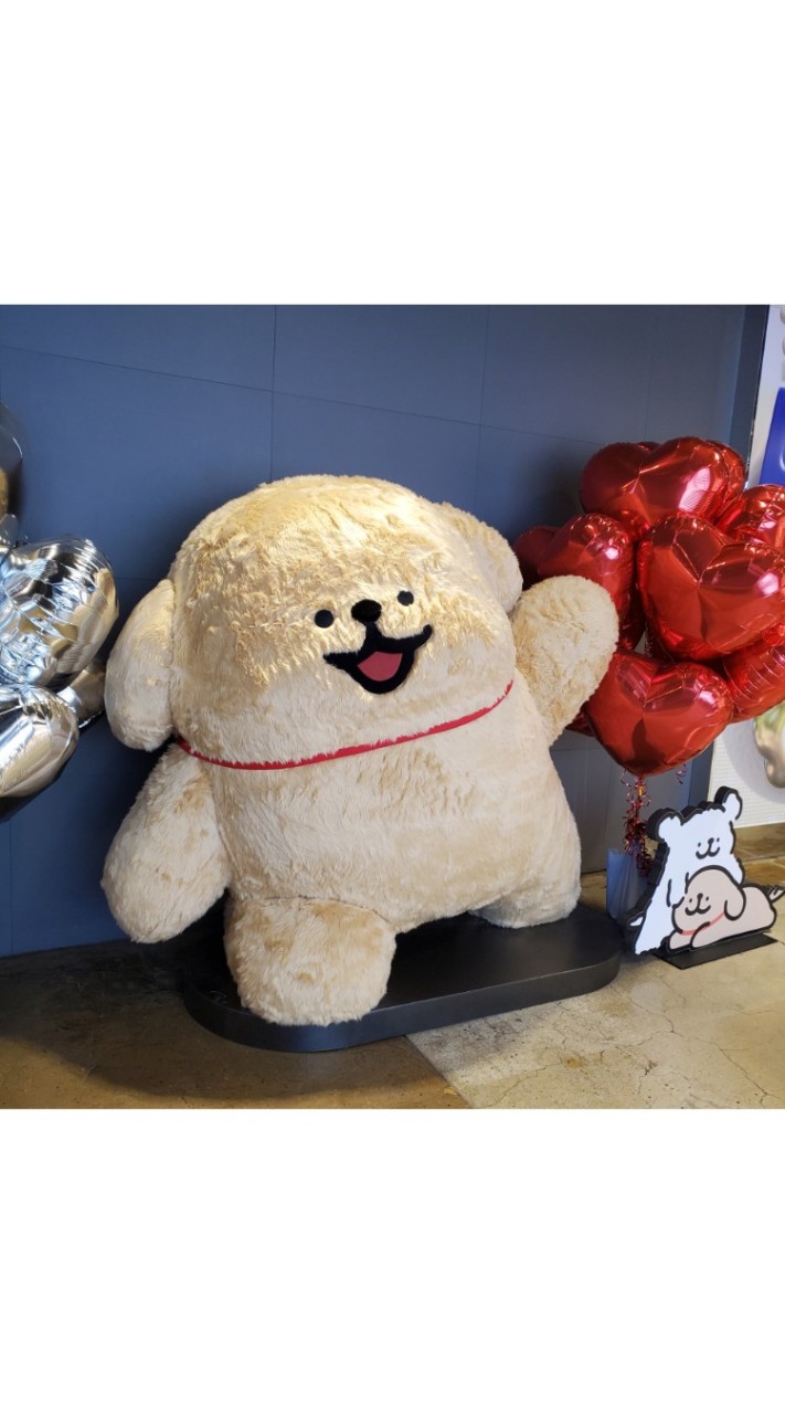 6/4-6/8🇰🇷連線MYMYMY_韓國代購
