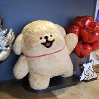 6/5-6/10🇰🇷連線MYMYMY韓國代購