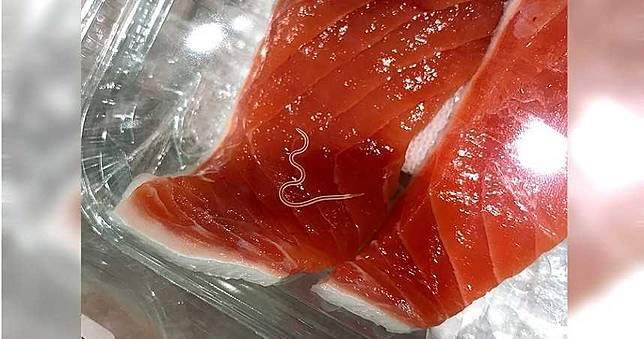 吃生魚片注意線蟲寄生魚類比例增加2倍 Ctwant Line Today