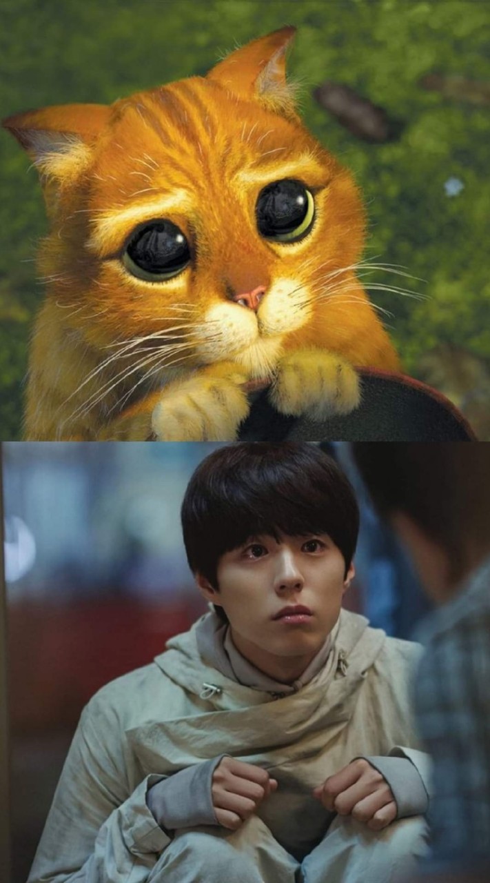 หนังหรือซีรี่ย์จัดมาไม่ว่ากัน