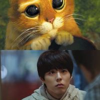 หนังหรือซีรี่ย์จัดมาไม่ว่ากัน
