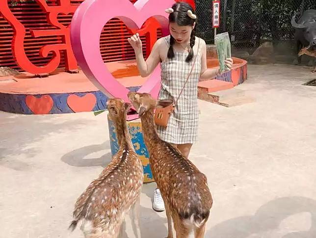 照片來源：IG @chau0422 