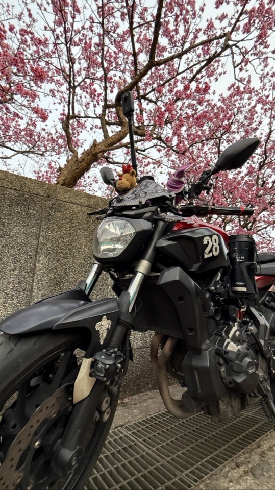 北部機車旅遊GoGo/白/黃/紅牌