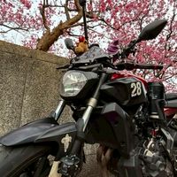北部機車旅遊GoGo/白/黃/紅牌