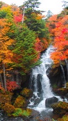 紅葉＆滝＆登山スポット🍁 【北海道 / 東北】東北地方 青森 岩手 宮城 秋田 山形 福島