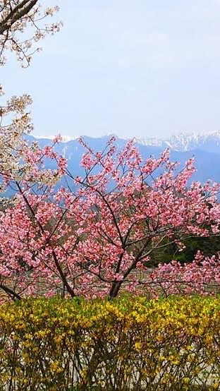 東方鬼滅譚(なりきり)のオープンチャット