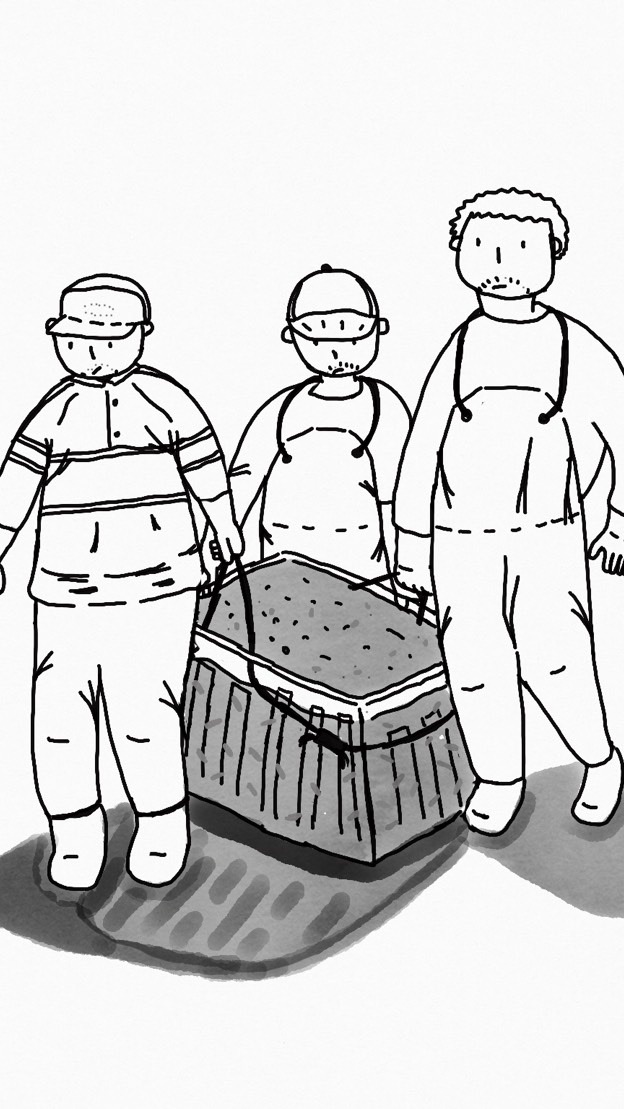 澎湖插畫界