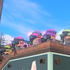 ゆずのバグラグさーばー(鯖)
