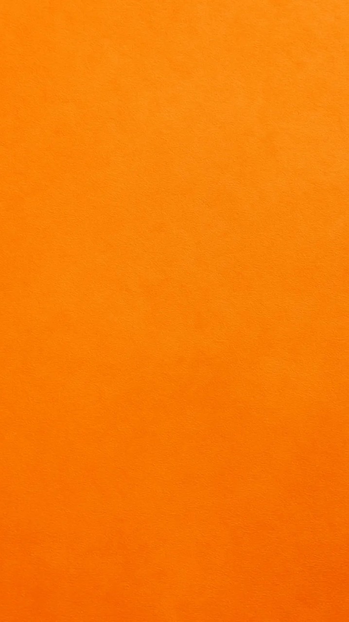 オレンジの薔薇