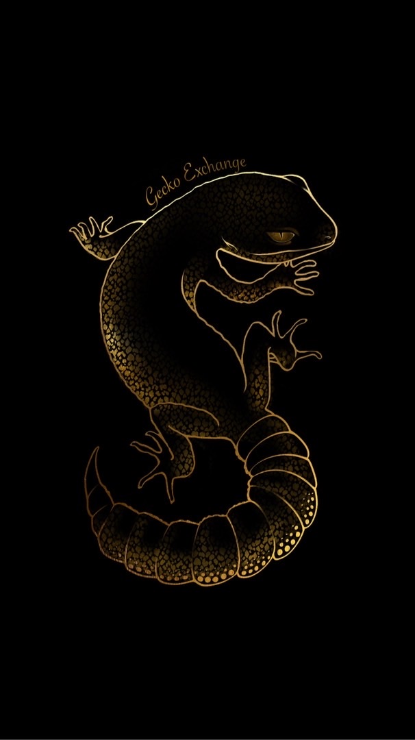 Gecko Exchange 守宮交易所